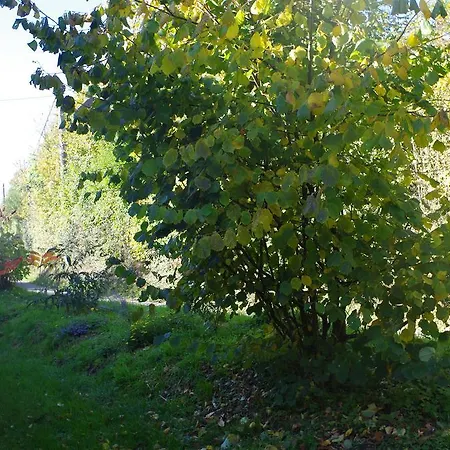 Ndila Piscine Privee Fatouville-Grestain