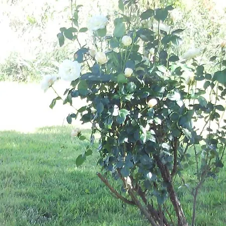 Ndila Piscine Privee Nyaraló